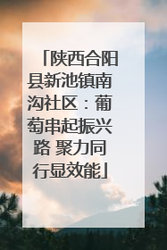 陕西合阳县新池镇南沟社区：葡萄串起振兴路 聚力同行显效能