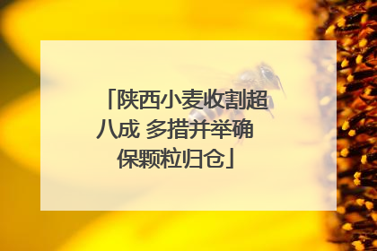 陕西小麦收割超八成 多措并举确保颗粒归仓