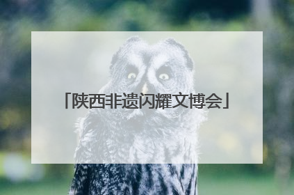 陕西非遗闪耀文博会