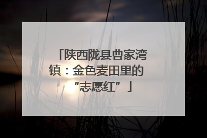 陕西陇县曹家湾镇：金色麦田里的“志愿红”