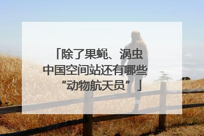 除了果蝇、涡虫 中国空间站还有哪些“动物航天员”