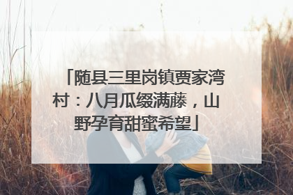 随县三里岗镇贾家湾村：八月瓜缀满藤，山野孕育甜蜜希望