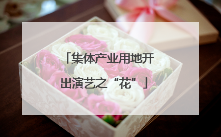 集体产业用地开出演艺之“花”