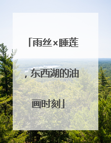 雨丝×睡莲，东西湖的油画时刻