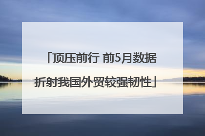 顶压前行 前5月数据折射我国外贸较强韧性