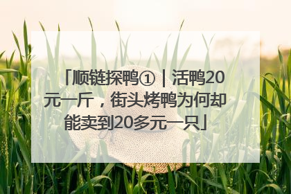 顺链探鸭①｜活鸭20元一斤，街头烤鸭为何却能卖到20多元一只