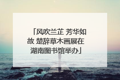 风吹兰芷 芳华如故 楚辞草木画展在湖南图书馆举办