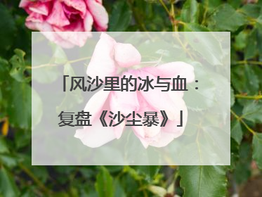 风沙里的冰与血：复盘《沙尘暴》