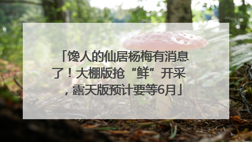 馋人的仙居杨梅有消息了！大棚版抢“鲜”开采，露天版预计要等6月