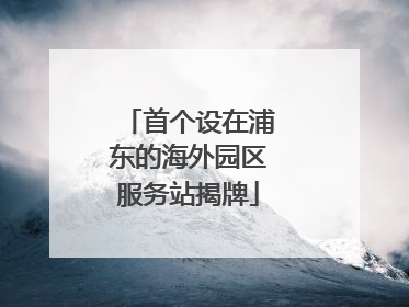 首个设在浦东的海外园区服务站揭牌
