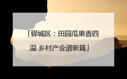 驿城区：田园瓜果香四溢 乡村产业谱新篇
