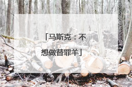 马斯克：不想做替罪羊