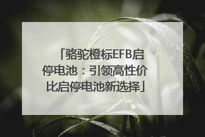 骆驼橙标EFB启停电池：引领高性价比启停电池新选择