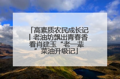 高素质农民成长记丨老油坊飘出青春香 看肖建玉“老一辈”菜油升级记