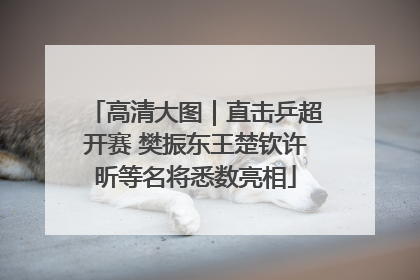高清大图｜直击乒超开赛 樊振东王楚钦许昕等名将悉数亮相