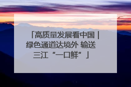 高质量发展看中国｜绿色通道达境外 输送三江“一口鲜”