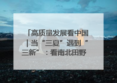 高质量发展看中国｜当“三夏”遇到“三新”：看南北田野里的科技共生记