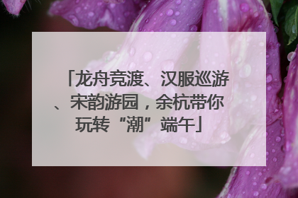 龙舟竞渡、汉服巡游、宋韵游园，余杭带你玩转“潮”端午