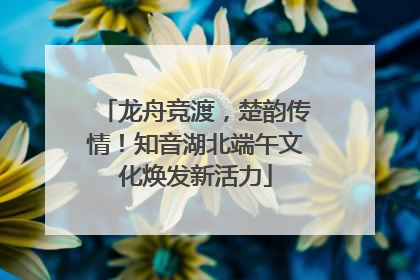 龙舟竞渡，楚韵传情！知音湖北端午文化焕发新活力
