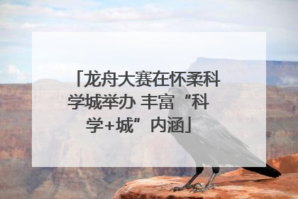 龙舟大赛在怀柔科学城举办 丰富“科学+城”内涵