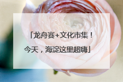 龙舟赛+文化市集！今天，海淀这里超嗨