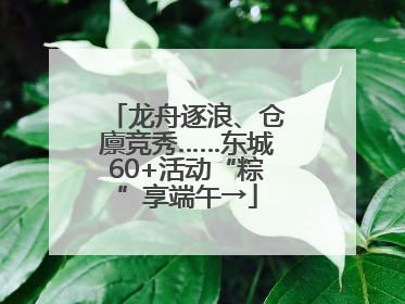 龙舟逐浪、仓廪竞秀……东城60+活动“粽”享端午→
