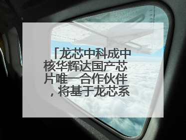 龙芯中科成中核华辉达国产芯片唯一合作伙伴，将基于龙芯系列正向适配