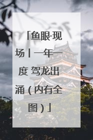 鱼眼·现场丨一年一度 驾龙出涌（内有全图）