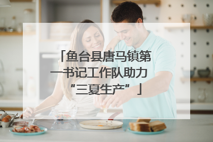 鱼台县唐马镇第一书记工作队助力“三夏生产”