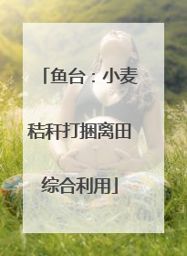 鱼台：小麦秸秆打捆离田综合利用