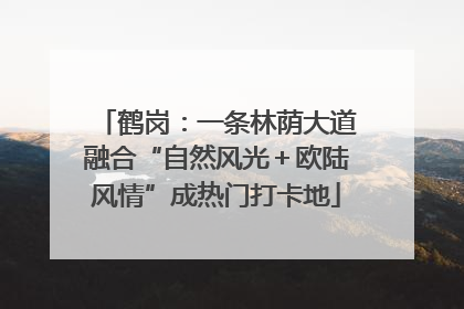 鹤岗：一条林荫大道融合“自然风光＋欧陆风情”成热门打卡地