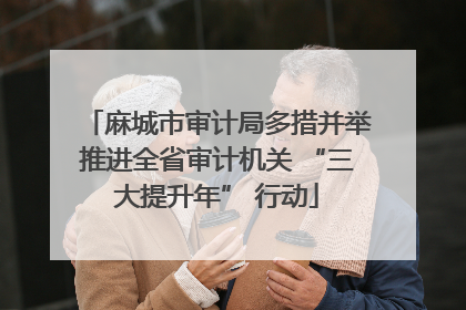 麻城市审计局多措并举推进全省审计机关 “三大提升年” 行动