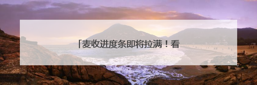 麦收进度条即将拉满！看今年山东麦收季的新变化