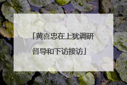 黄喜忠在上犹调研督导和下访接访