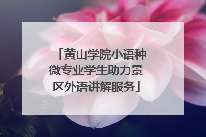 黄山学院小语种微专业学生助力景区外语讲解服务
