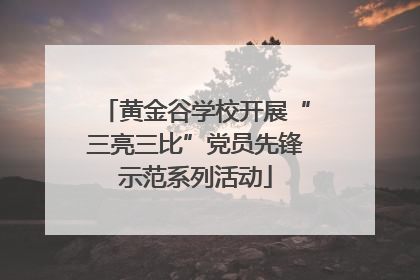黄金谷学校开展“三亮三比”党员先锋示范系列活动
