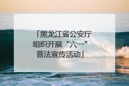 黑龙江省公安厅组织开展“六一”普法宣传活动