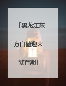 黑龙江东方白鹳迎来繁育期