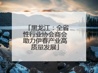 黑龙江：全省性行业协会商会助力伊春产业高质量发展