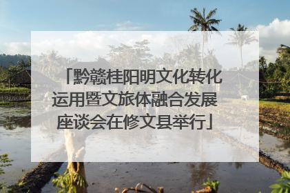 黔赣桂阳明文化转化运用暨文旅体融合发展座谈会在修文县举行