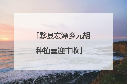 黟县宏潭乡元胡种植喜迎丰收