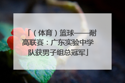 （体育）篮球——耐高联赛：广东实验中学队获男子组总冠军