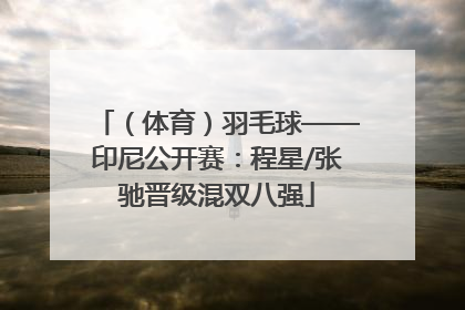 （体育）羽毛球——印尼公开赛：程星/张驰晋级混双八强