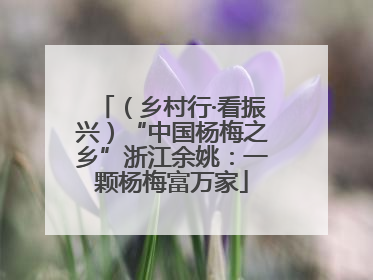 （乡村行·看振兴）“中国杨梅之乡”浙江余姚：一颗杨梅富万家