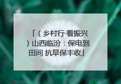 （乡村行·看振兴）山西临汾：保电到田间 抗旱保丰收