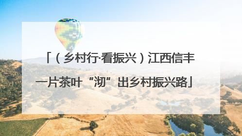 （乡村行·看振兴）江西信丰一片茶叶“沏”出乡村振兴路