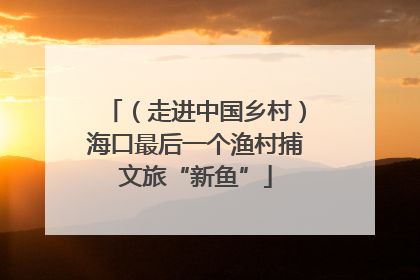 （走进中国乡村）海口最后一个渔村捕文旅“新鱼”