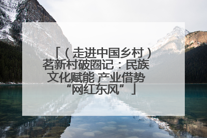 （走进中国乡村）茗新村破圈记：民族文化赋能 产业借势 “网红东风”