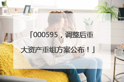 000595，调整后重大资产重组方案公布！