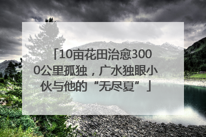 10亩花田治愈3000公里孤独，广水独眼小伙与他的“无尽夏”